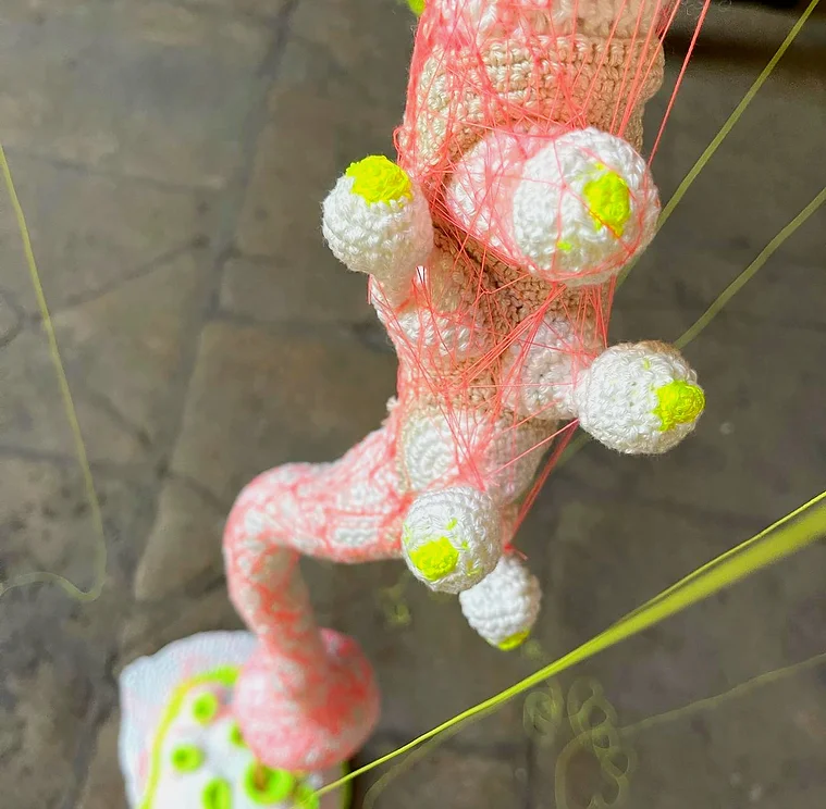 ca1d5
