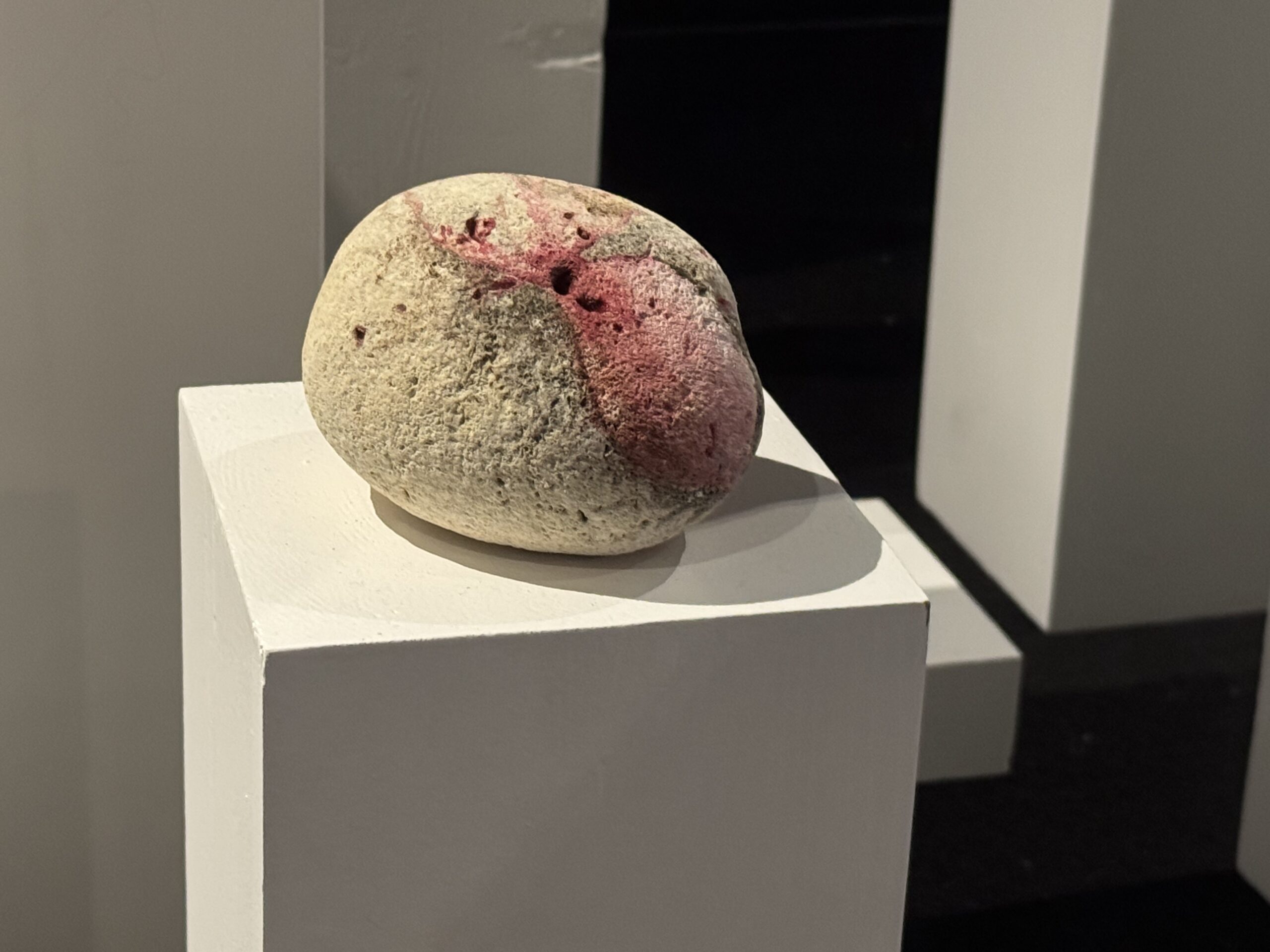 La Chausse_e des Geantes 3, de_tail Vitrine des Essais, Bordeaux, 2026